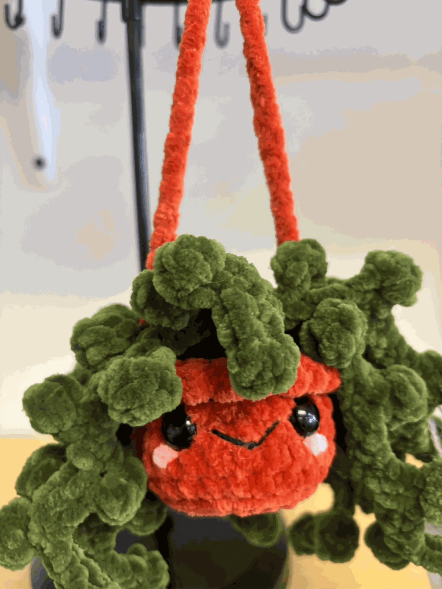 Pure Wash Hanging Plant - String of Pearls