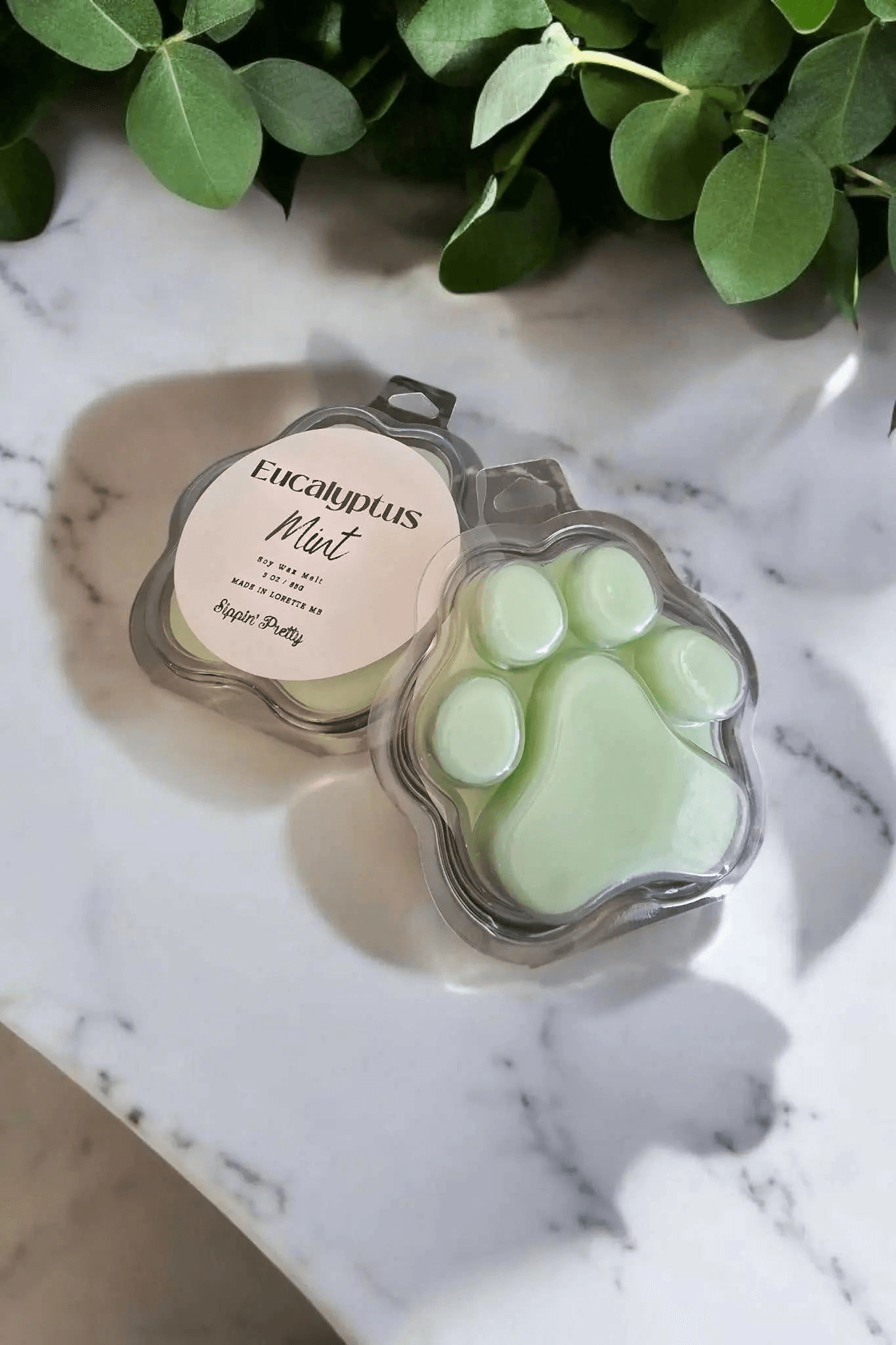 Eucalyptus Mint Wax Melt