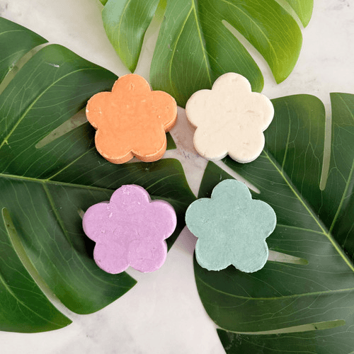 Oak & Willow Solid Shampoo