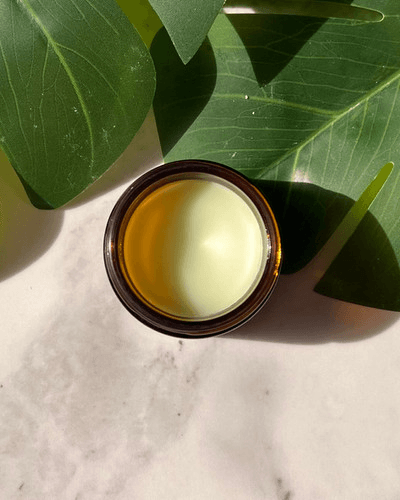 Oak & Willow Solid Perfume