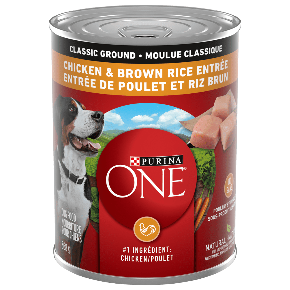 Purina ONE Classic Ground Chicken and Brown Rice Entrée