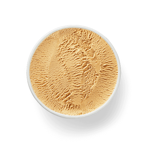 Häagen-Dazs Coffee Ice Cream